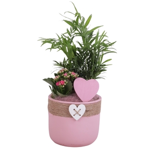 Mothersday Arr. Indoor Ceramic Pot Round Rope Heart Ø17cm 2PP