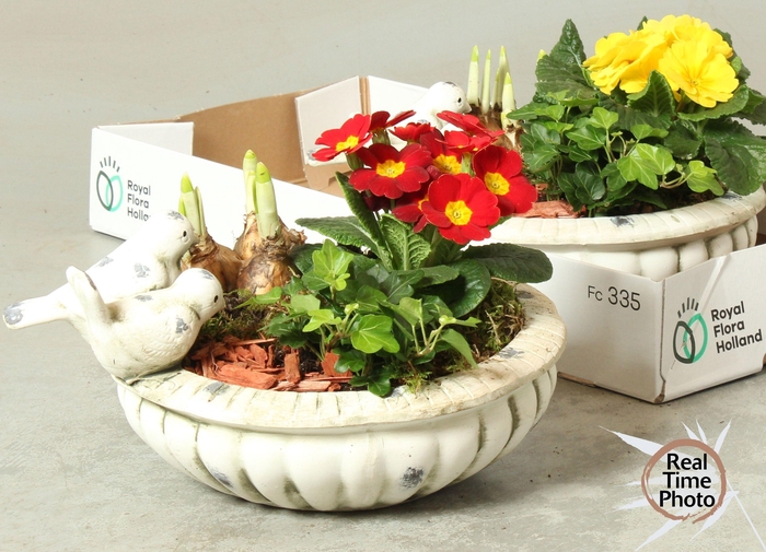 <h4>ARR KAMERPL</h4>