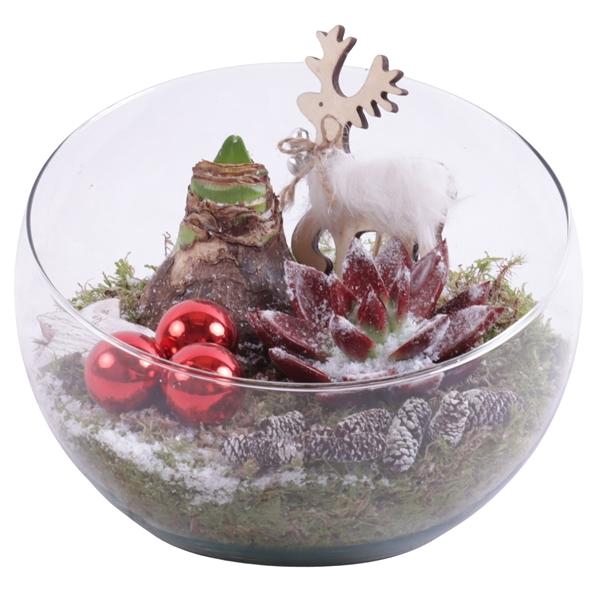 <h4>Christmas Arr. Amaryllis Glass Bowl Vase Ø20cm 2PP</h4>