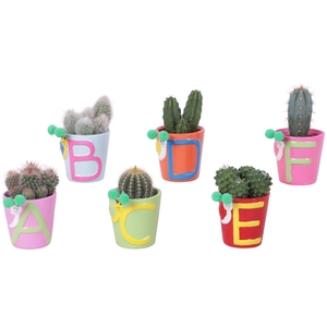 Thank you Teacher Arr. Cactus Ceramic Pot ABC Ø07cm 1PP