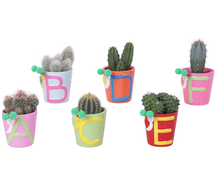 <h4>Thank you Teacher Arr. Cactus Ceramic Pot ABC Ø07cm 1PP</h4>