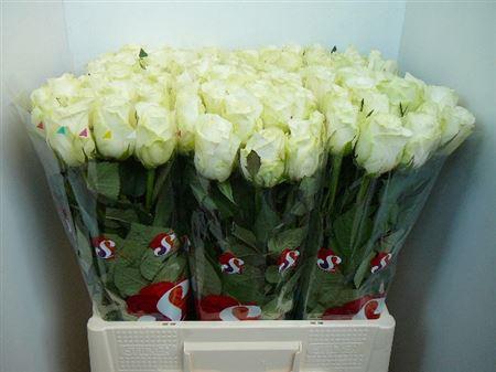 <h4>R Gr Countdown!</h4>