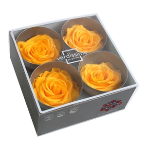 Roos premium warm yellow