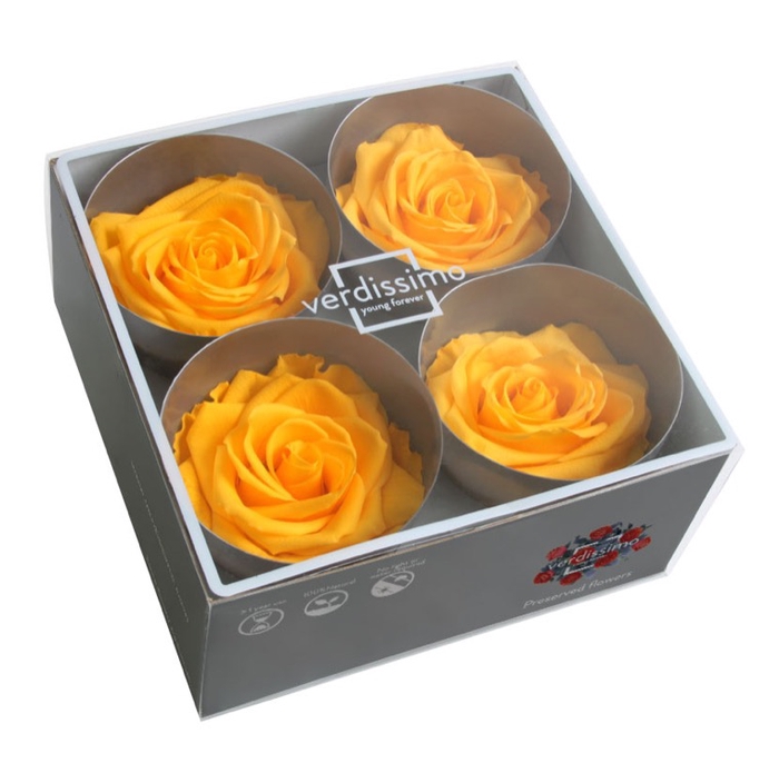 Roos premium warm yellow