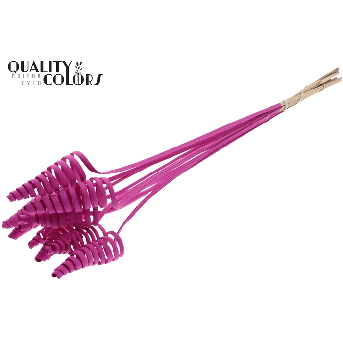 <h4>Cane Cone on stem Covered Cerise</h4>