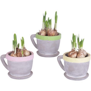 Easter Arr. Narcis Ceramic Cup And Saucer Colored Rim Ø12cm