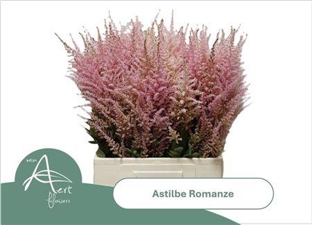 Astil C Romanze