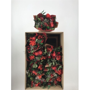 Dr Bqt Primavera Dry Red Rosso