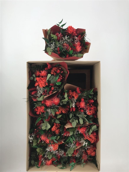 <h4>Dr Bqt Primavera Dry Red Rosso</h4>