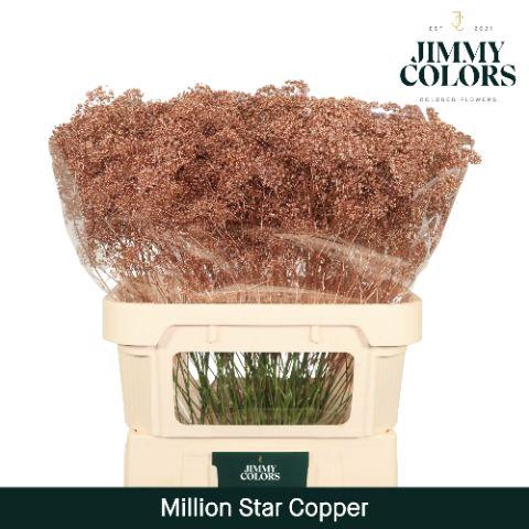 <h4>Gyps Million Star L80 Metallic copper</h4>