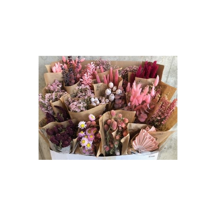 <h4>Display Dried Flowers Cons Slv L50</h4>