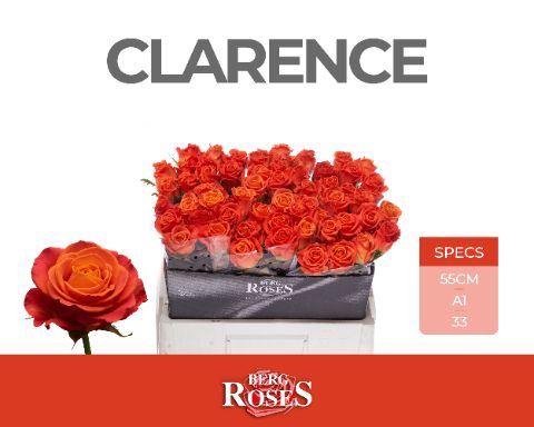 <h4>Rozen R GR Clarence</h4>