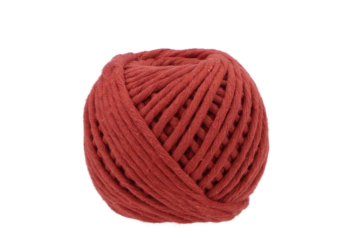 <h4>Ribbon Macrame Cord 23 Brick 50mx5mm Nm</h4>