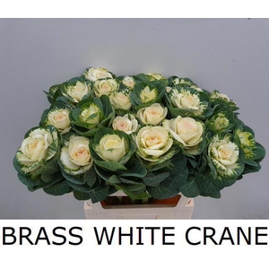 BRASS WHITE CRANE