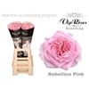 R GR REBELLION PINK