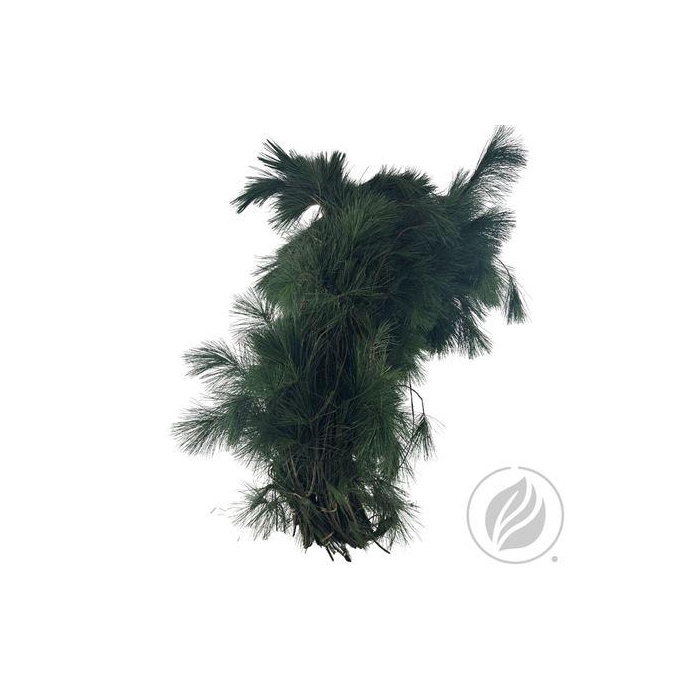 <h4>KIEFER HANDBOS 500GR</h4>