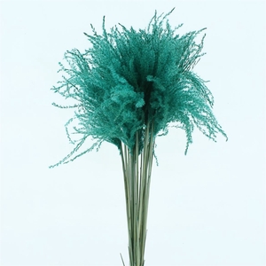 Dried Stipa Feather Azuur Blauw