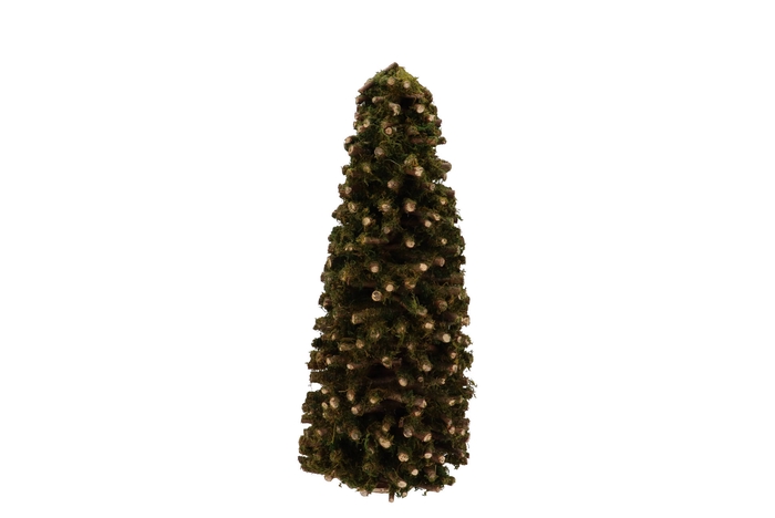 Festive Tree Poplar Moss 22x22x50cm