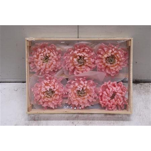 Wax Bol Chrysant Light Rosa