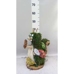 Decoratie  ..Vogelzaadfiguur  H%