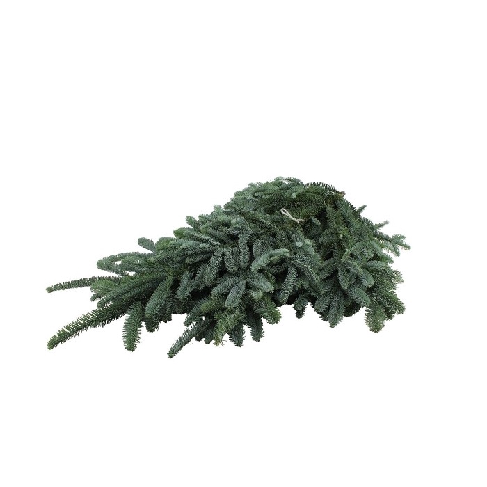 <h4>NOBILIS WHITEBAND NF 8KG</h4>