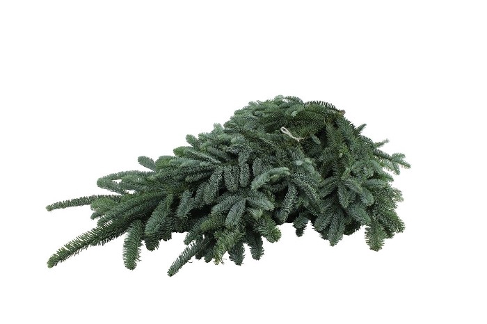 <h4>NOBILIS WHITEBAND NF 8KG</h4>