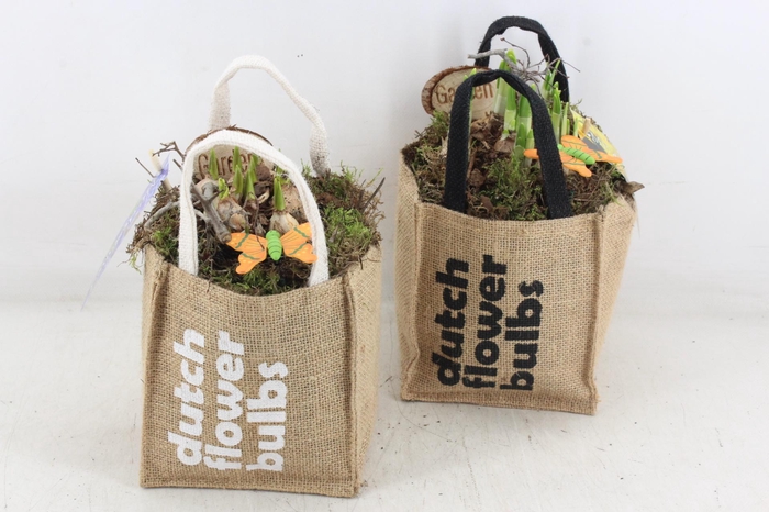 <h4>arr4 Bollenmix MB - Tasje dutch bulbs 338/6</h4>