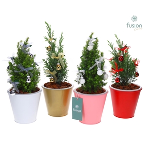 Pot zink wit met verlichting Kerst met Chamaecyparis