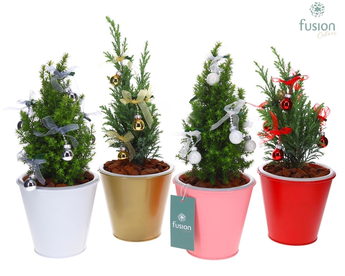 <h4>Pot zink wit met verlichting Kerst met Chamaecyparis</h4>