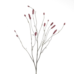 Af Sanguisorba L109cm Magenta