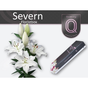 LI OR SEVERN FLORISTBOX 4+
