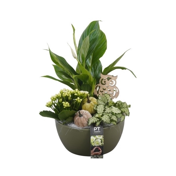 <h4>PTHI5549 Arrangement Herfst Indoor in keramiek schaal</h4>