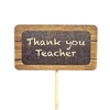 Pick chalk board Teacher wood 4,5x8cm+12cm stick