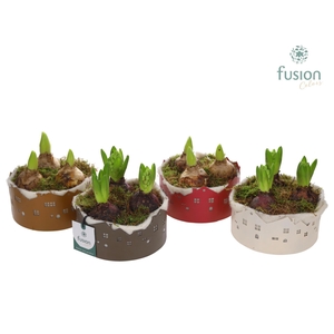 Zinken schaal Huisjes Small met Hyacinten