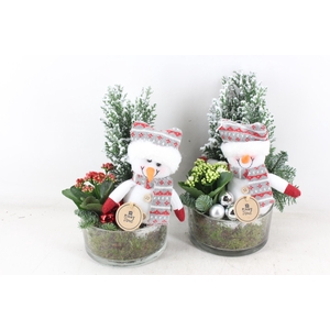 arr2 PL - Cilin. sneeuwpop 285/6