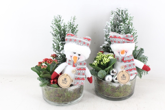 <h4>arr2 PL - Cilin. sneeuwpop 285/6</h4>