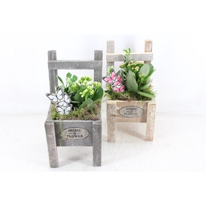 arr2 TD - Houten stoel - roze/wit
