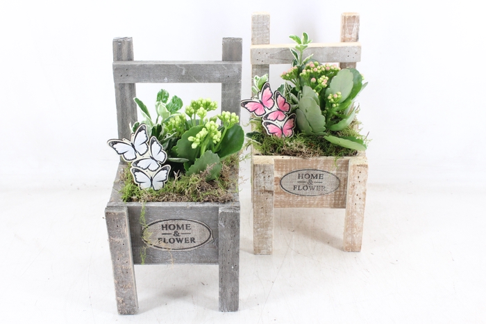 <h4>arr2 TD - Houten stoel - roze/wit</h4>