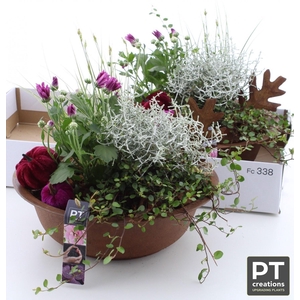 ARR GARDEN PT ZINC RUST X2