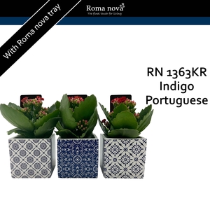 Kalan Rom 1363KR Indigo Portuguese