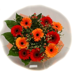 2025006 Oranje