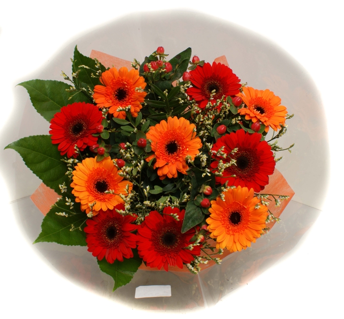 <h4>2025006 Oranje</h4>