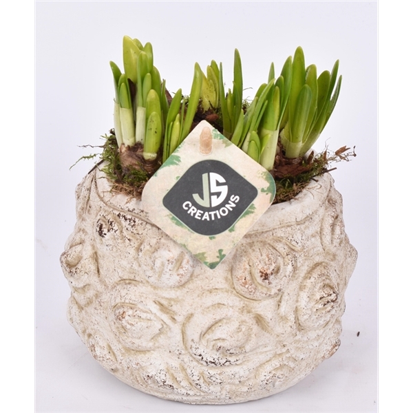 <h4>Cement pot bloemdecor 13,5cm</h4>