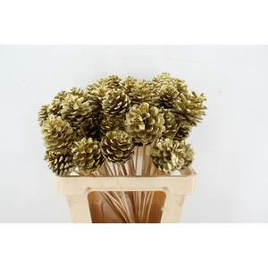 Stick Pine Cone Gold