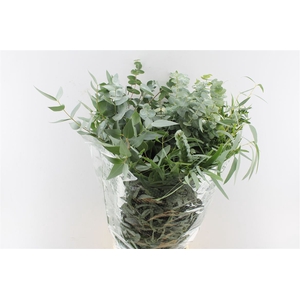 Euca Mix 300 Gram