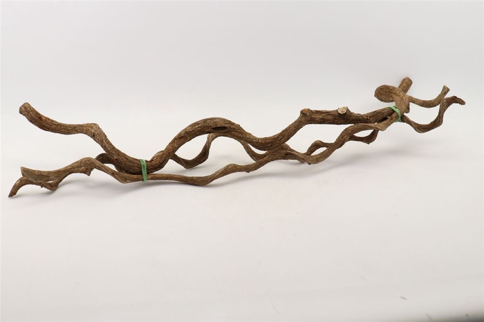 Bundle Curly Vine 3pcs L100 D2/5