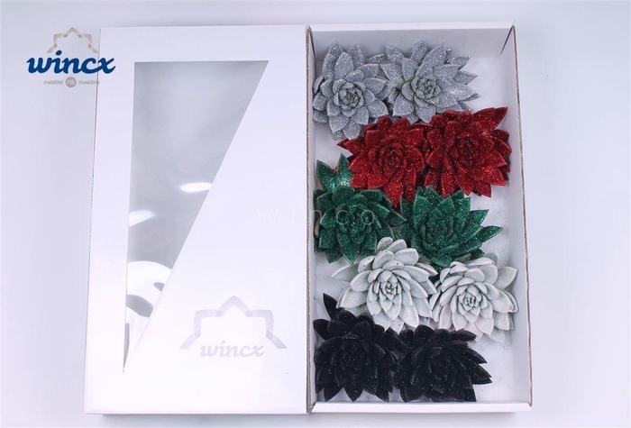 Echeveria Glitter Christmas Mix (wincx) Cutflower