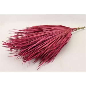 Bunch Chicken 10 Pcs Slv L70