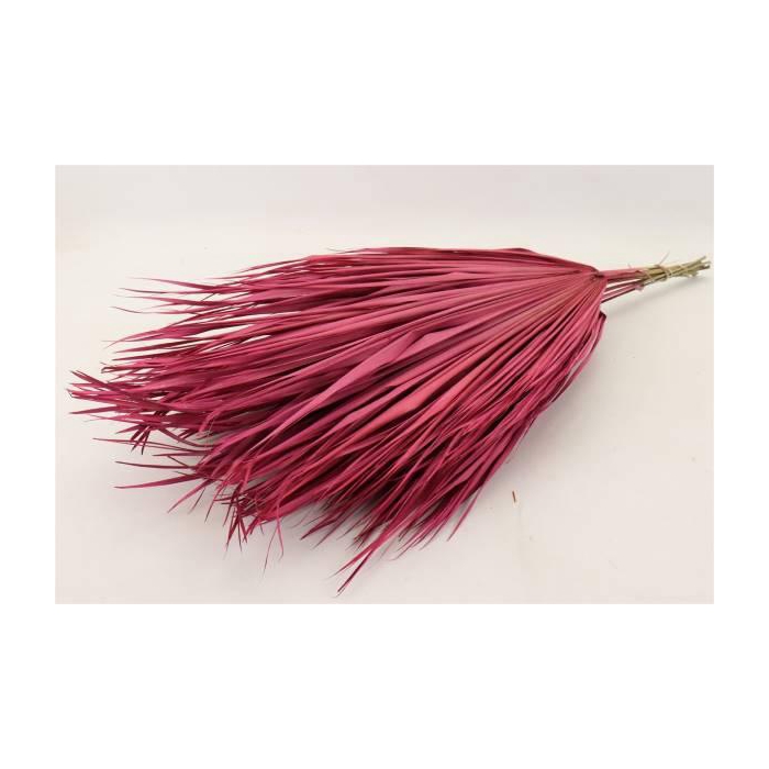 <h4>Bunch Chicken 10 Pcs Slv L70</h4>