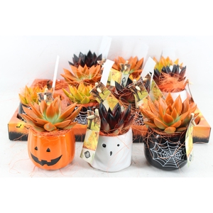 arr2 JS - Ker halloween mix ech. oranje